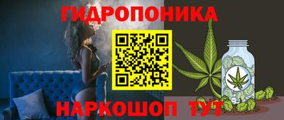 каннабис Новодвинск