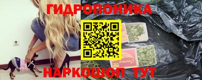 каннабис Новодвинск