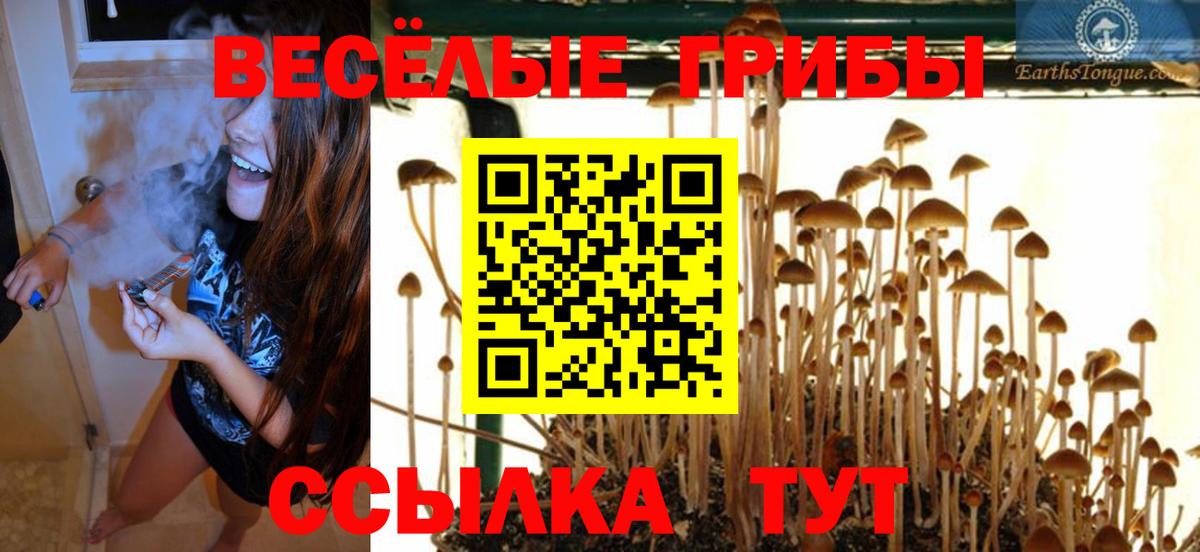 Торжок  Галлюциногенные грибы мухоморы  Вход с VPN 